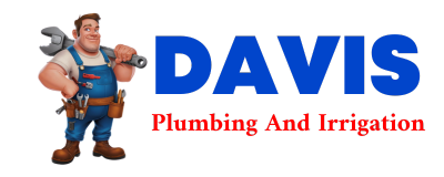 Trusted plumber in LAPOINT